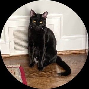 Meet your Posher, Sandy